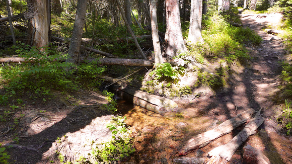 Trail to the right. I followed this unnamed creek into the forest to the left.