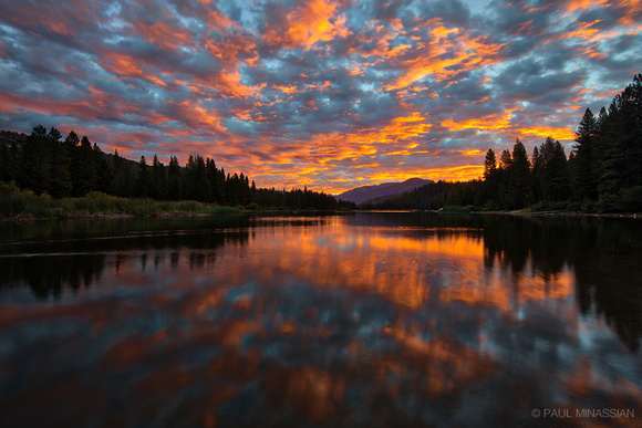 Morning Glory at Hume Lake