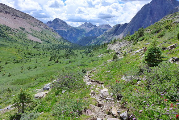 trail down Trinity Basin